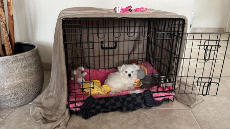 21-9-25 Lot kruipt zelf in de bench